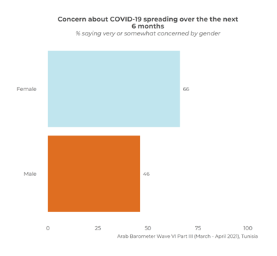 https://www.arabbarometer.org/wp-content/uploads/Picture2-8.png