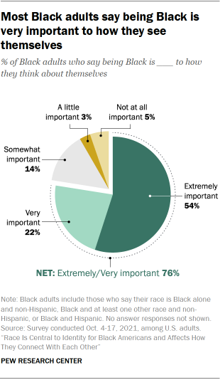 Pie chart showing most Black adults say being Black is very important to how they see themselves