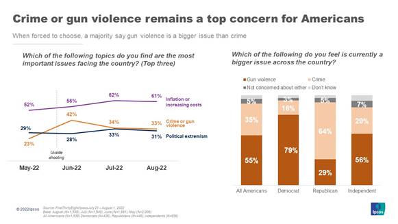 A chart with the text "Crime or gun violence remains a top concern for Americans"