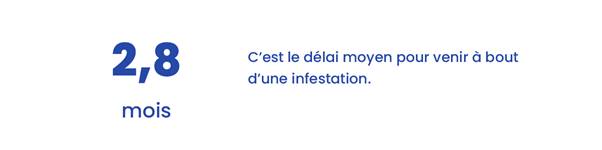 Il faut en moyenne 2,8 mois pour venir  bout d'une infestation de nuisibles